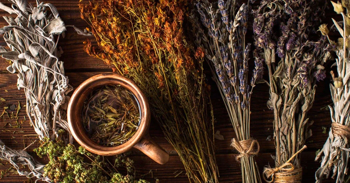 Learn how aromatic herbs like lavender, mint, rosemary, thyme and cedar naturally repel moths, beetles, and other insects that damage stored clothes.